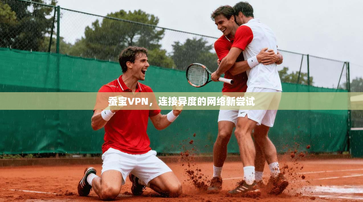 蚕宝VPN，连接异度的网络新尝试