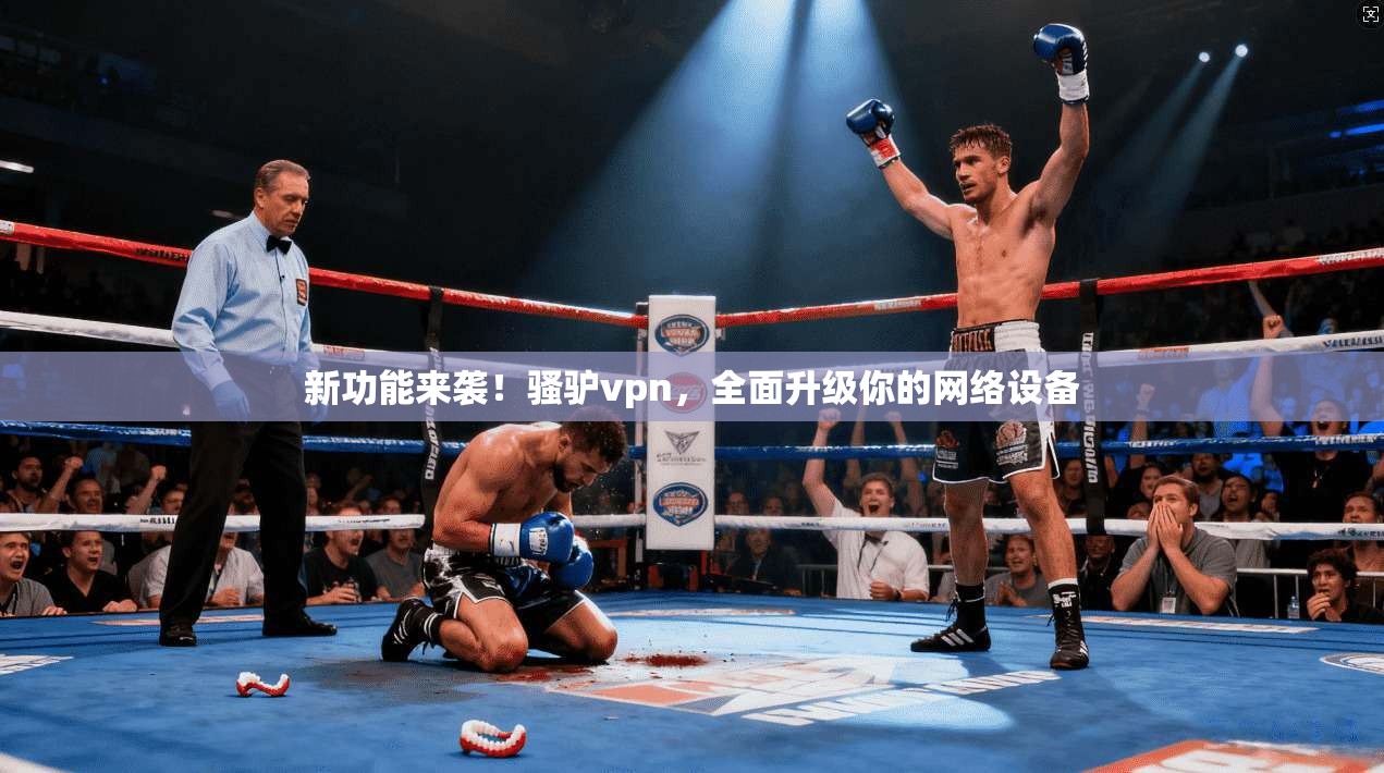 新功能来袭！骚驴vpn，全面升级你的网络设备