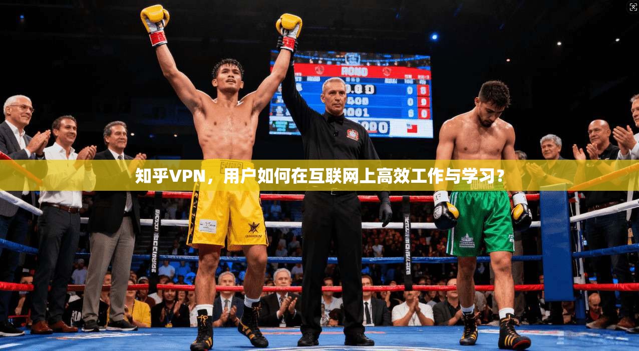 知乎VPN，用户如何在互联网上高效工作与学习？