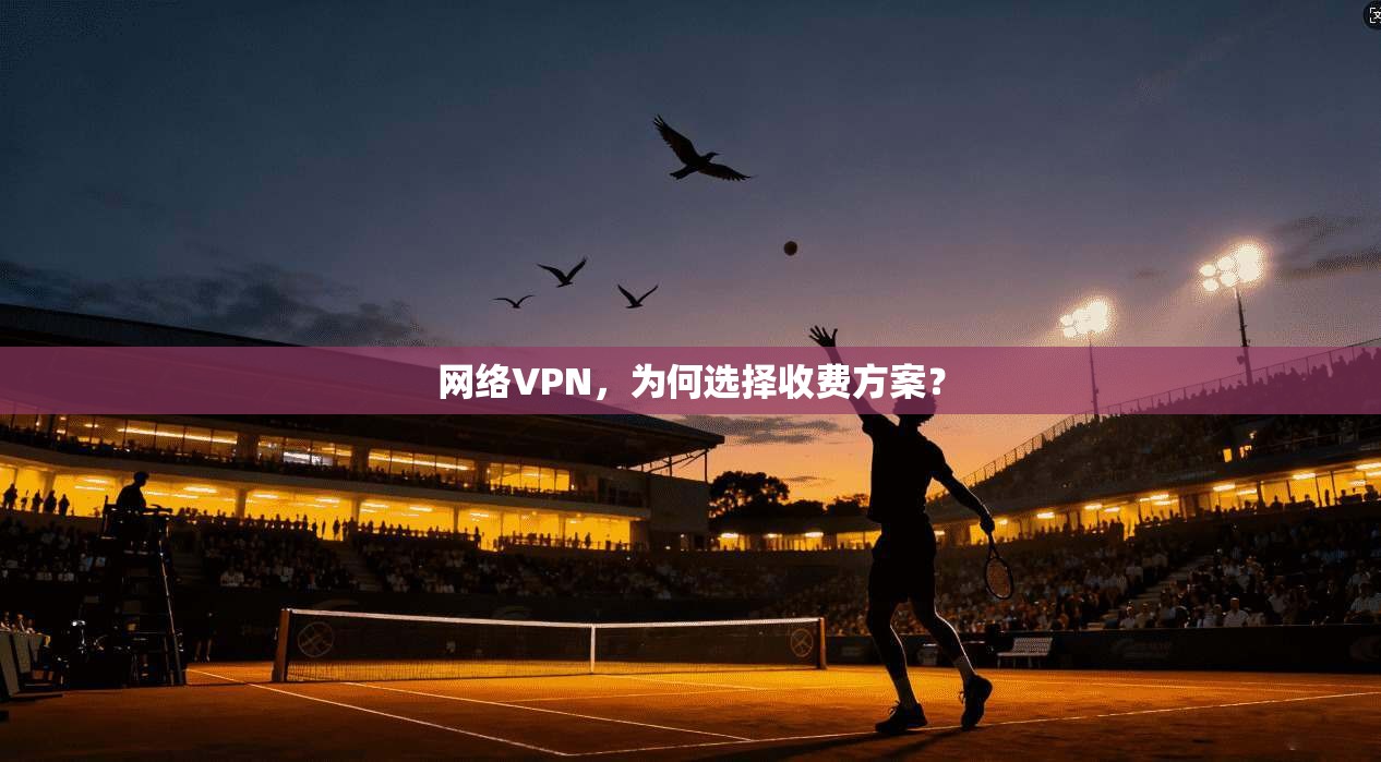 网络VPN，为何选择收费方案？