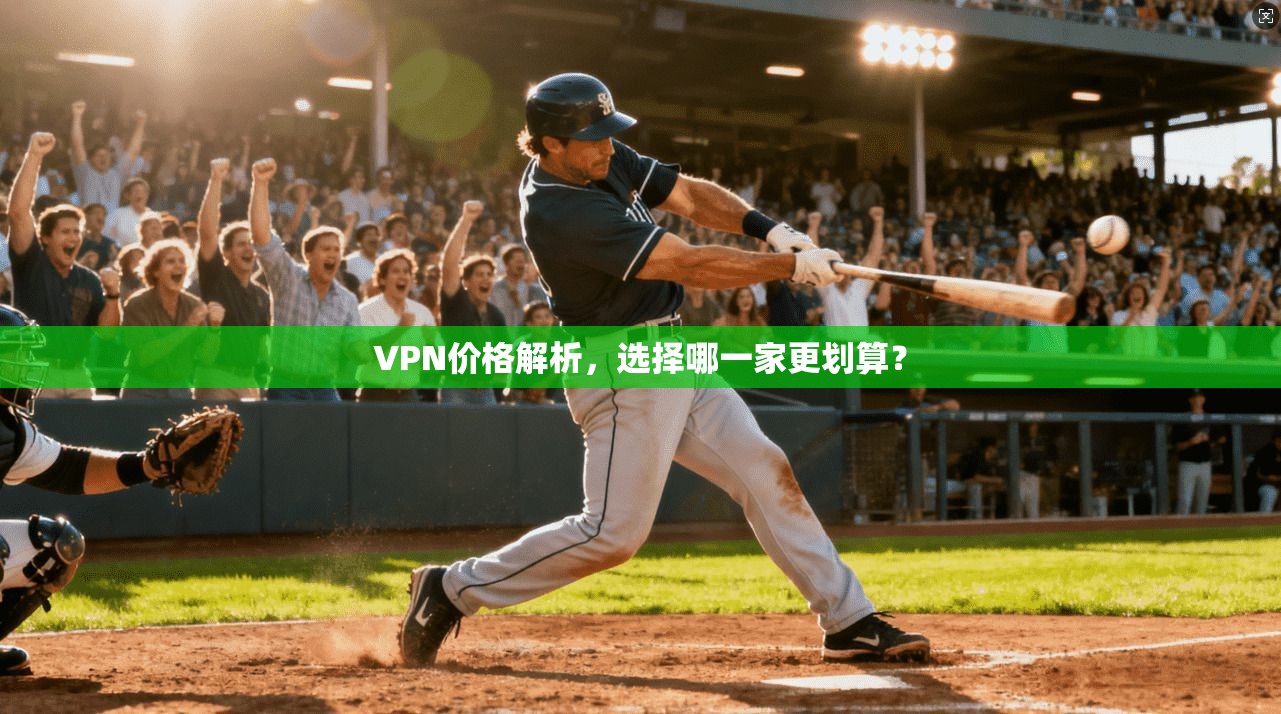 VPN价格解析,选择哪一家更划算?