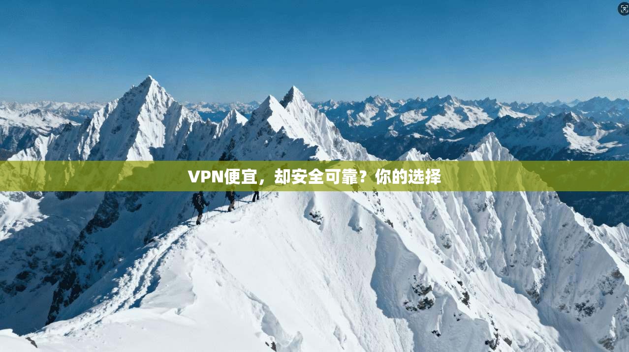 VPN便宜,却安全可靠?你的选择