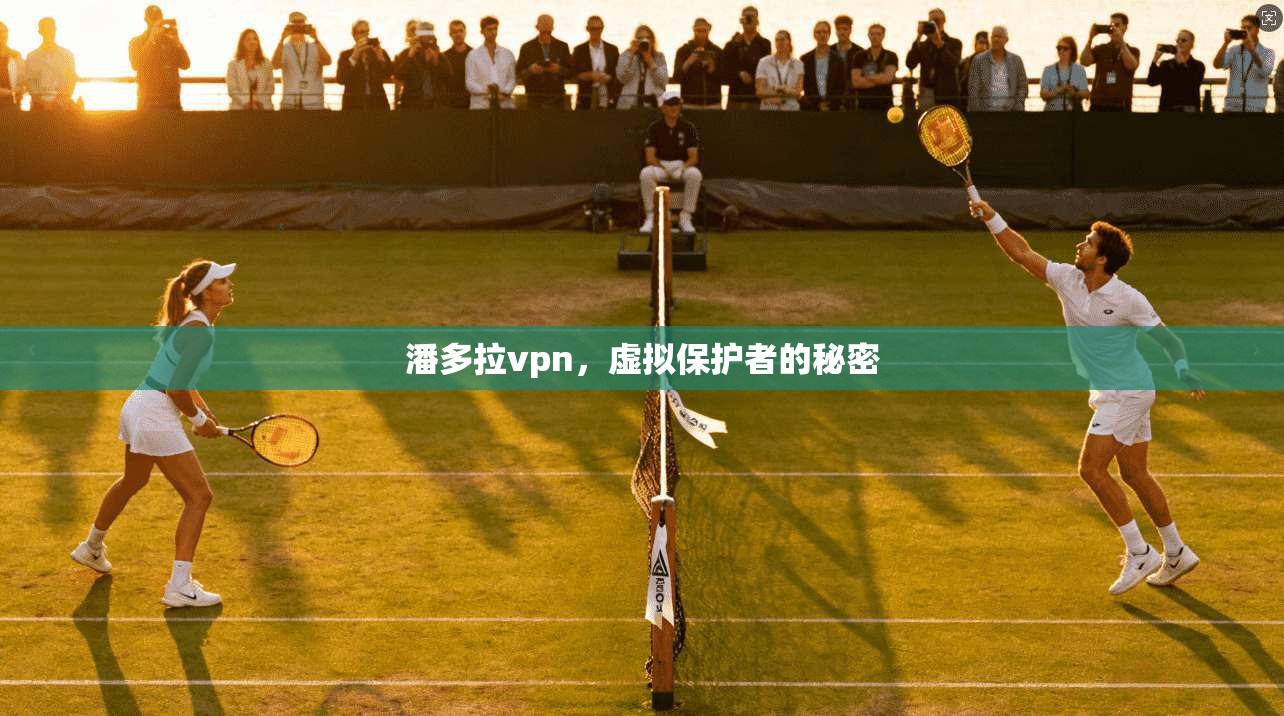 潘多拉vpn,虚拟保护者的秘密