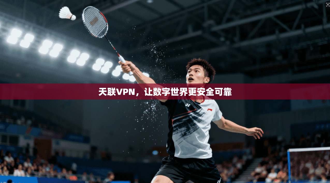 天联VPN,让数字世界更安全可靠