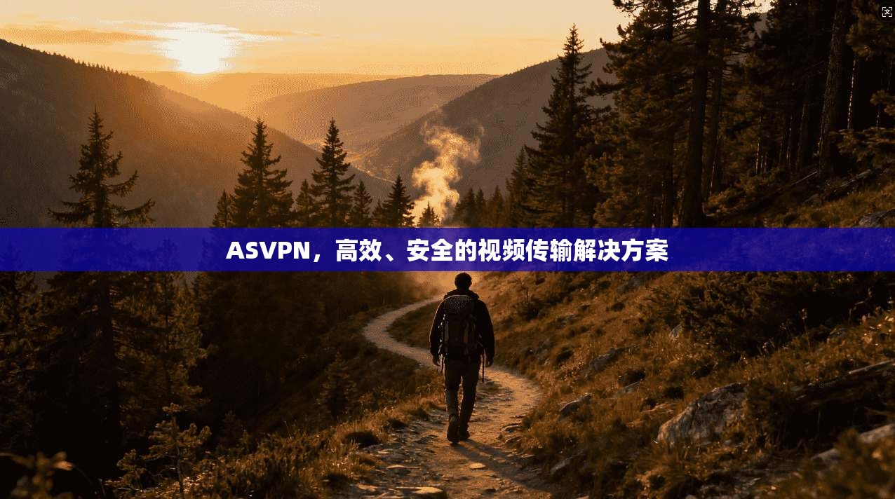 ASVPN，高效、安全的视频传输解决方案