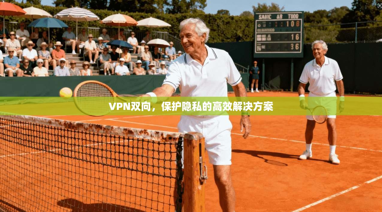 VPN双向，保护隐私的高效解决方案