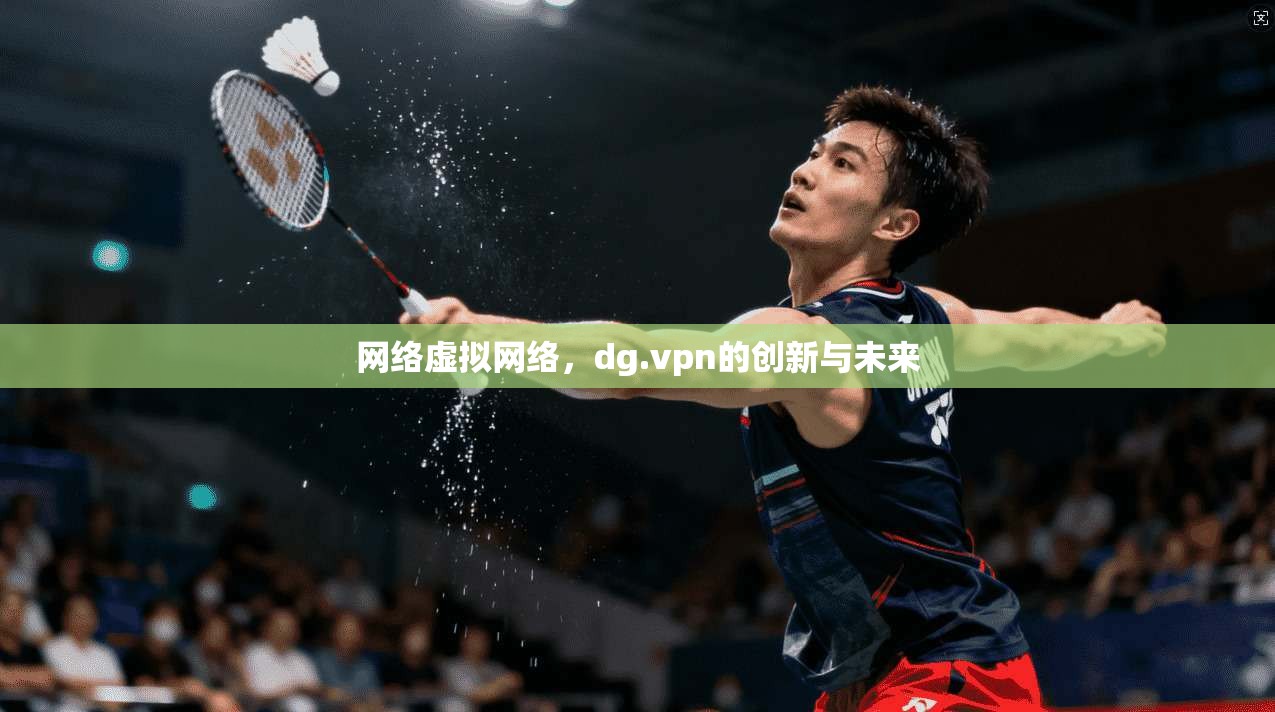 网络虚拟网络,dg.vpn的创新与未来