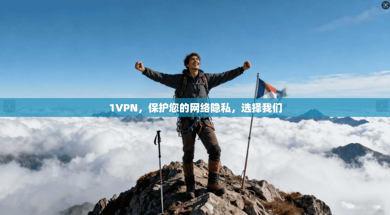 1VPN,保护您的网络隐私,选择我们 1VPN,保护您的网络隐私,选择我们