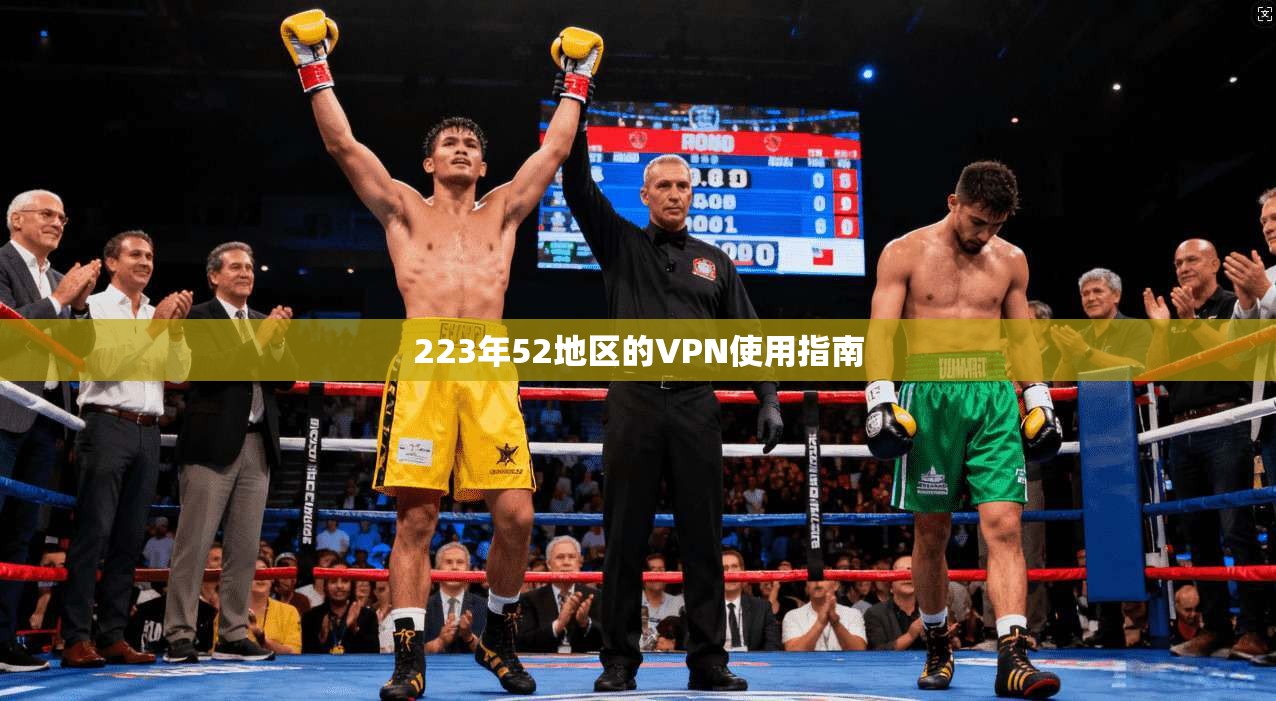 223年52地区的VPN使用指南