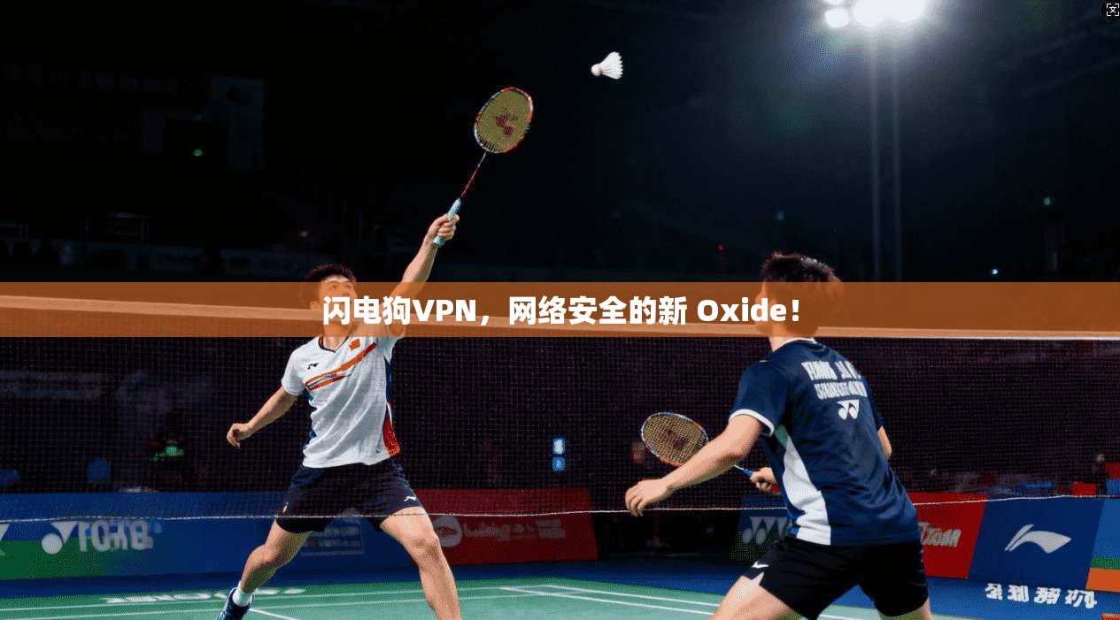 闪电狗VPN，网络安全的新 Oxide！