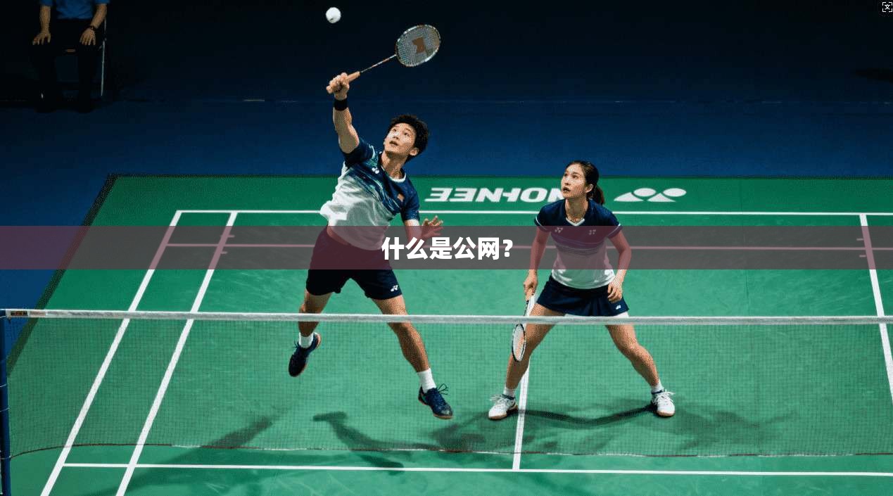 什么是公网？
