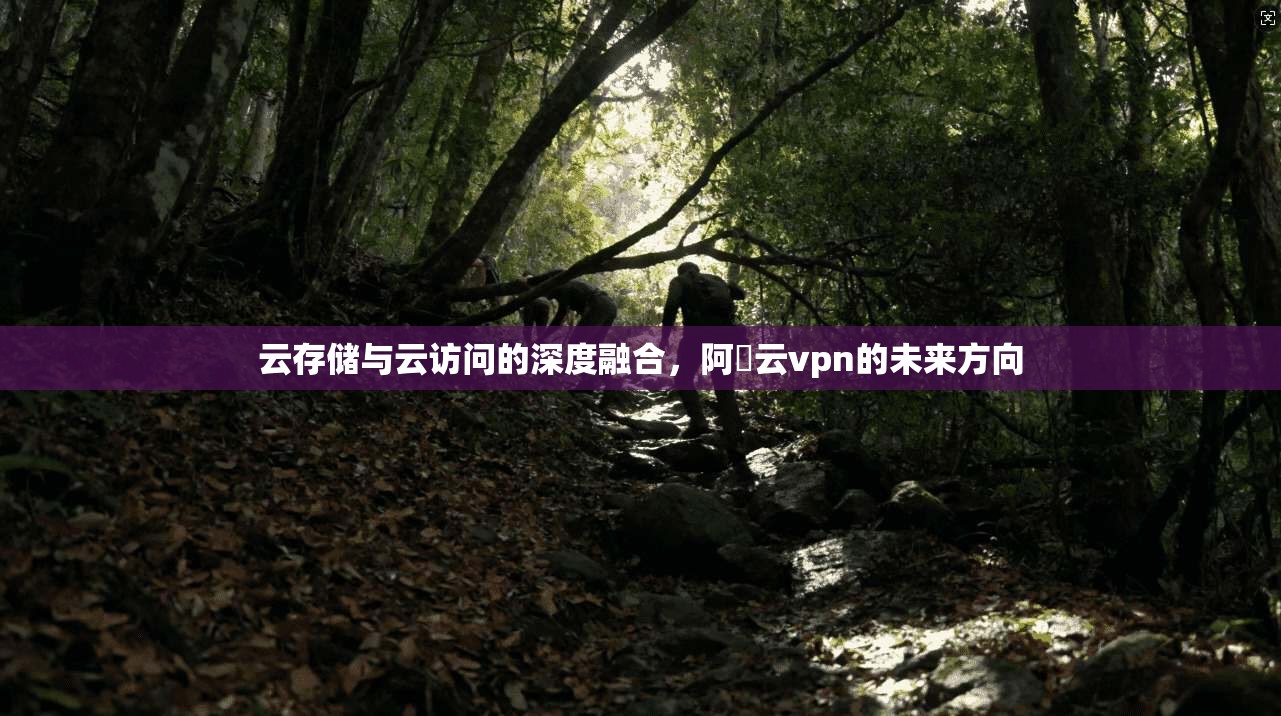 云存储与云访问的深度融合，阿裏云vpn的未来方向