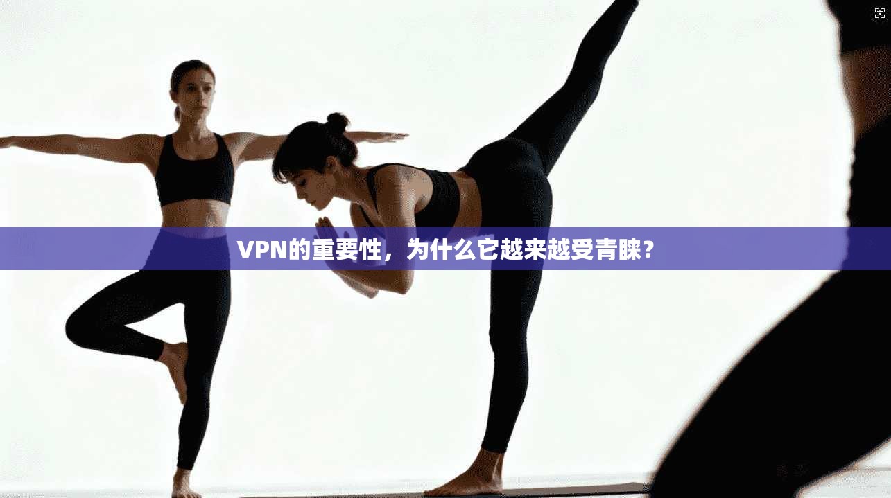 VPN的重要性,为什么它越来越受青睐? VPN的重要性,为什么它越来越受青睐?