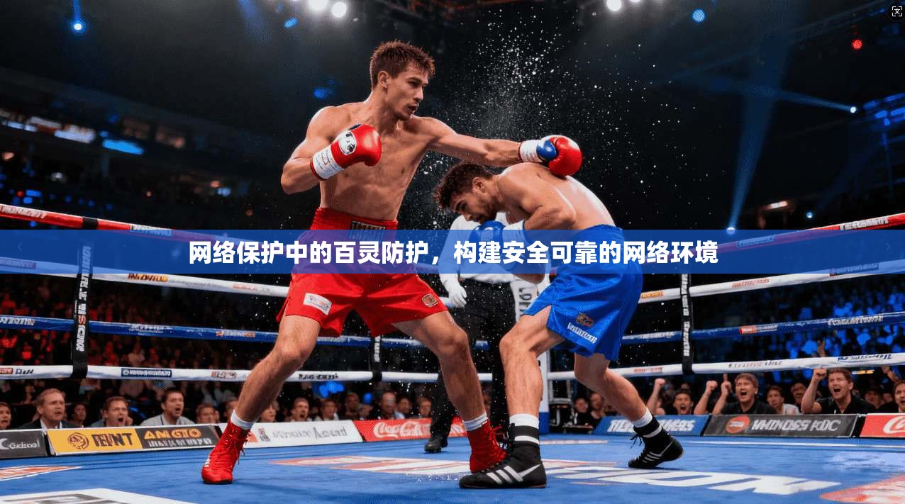 网络保护中的百灵防护，构建安全可靠的网络环境