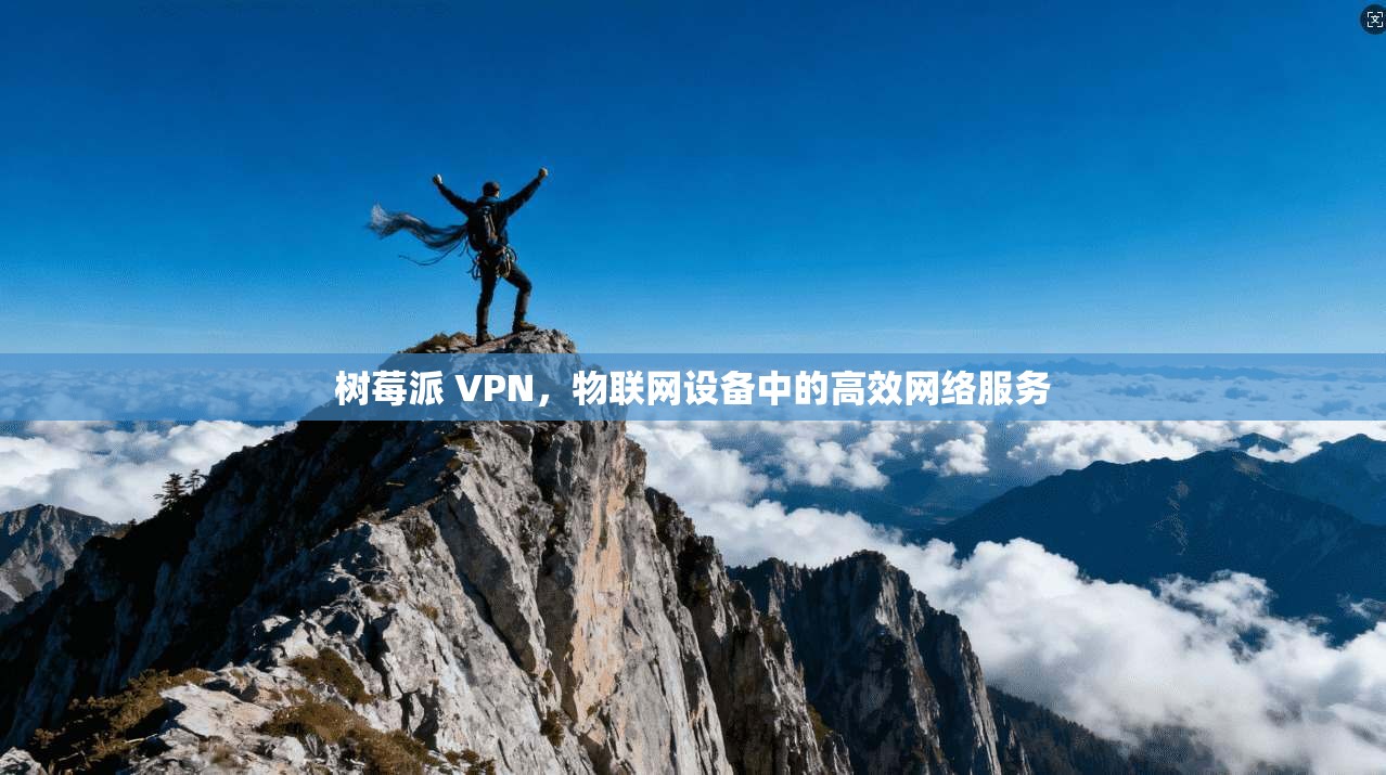 树莓派 VPN，物联网设备中的高效网络服务