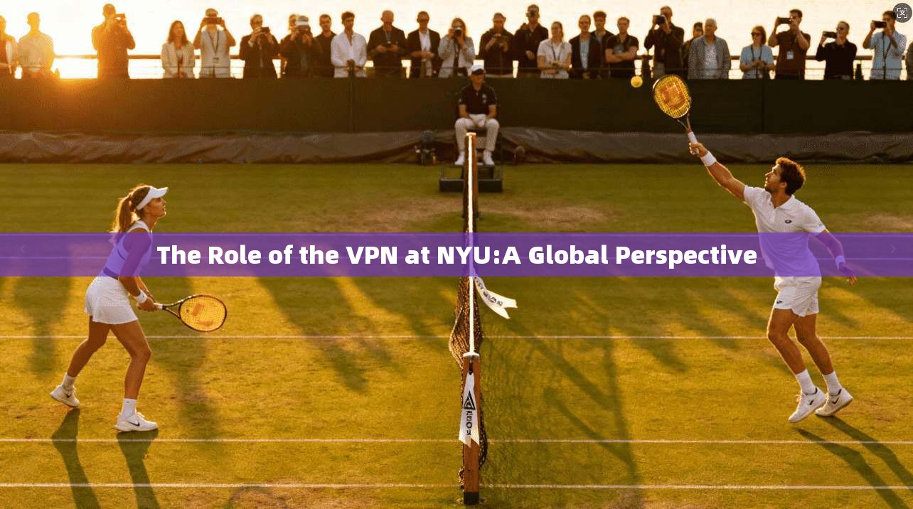 The Role of the VPN at NYU:A Global Perspective