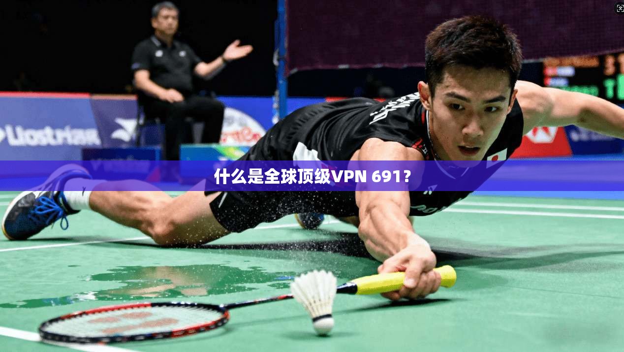 什么是全球顶级VPN 691？