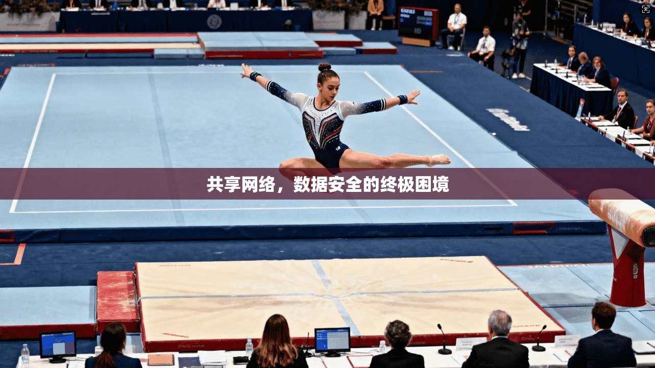 共享网络,数据安全的终极困境