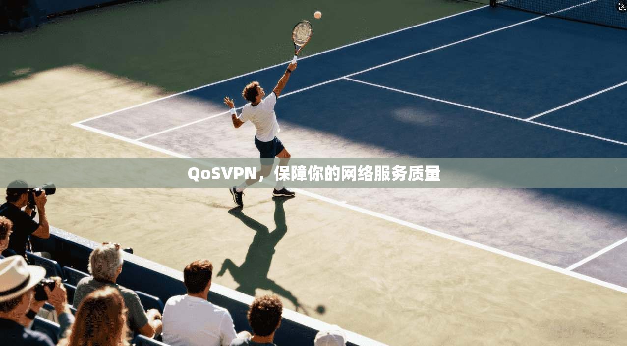 QoSVPN，保障你的网络服务质量