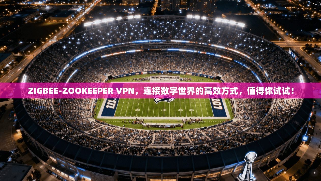 ZIGBEE-ZOOKEEPER VPN，连接数字世界的高效方式，值得你试试！