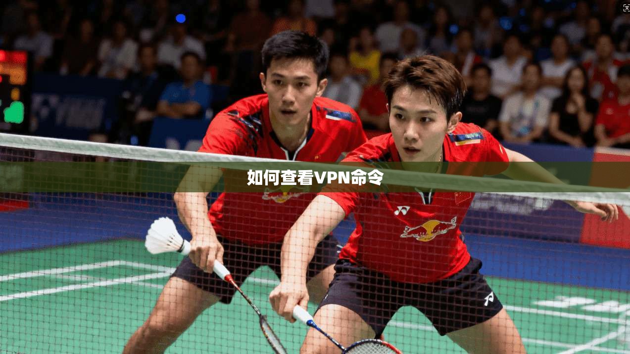 如何查看VPN命令