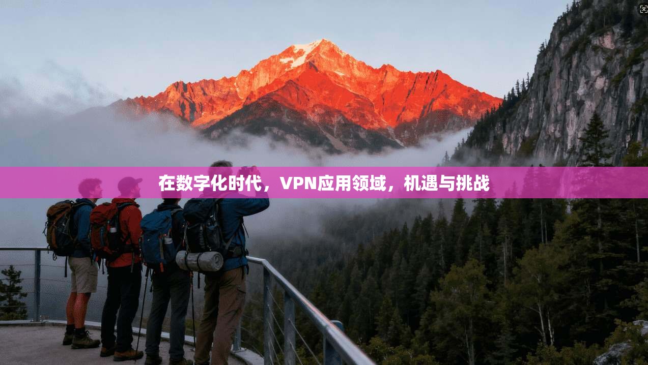 在数字化时代,VPN应用领域,机遇与挑战