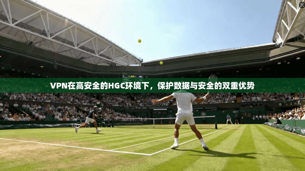 VPN在高安全的HGC环境下，保护数据与安全的双重优势