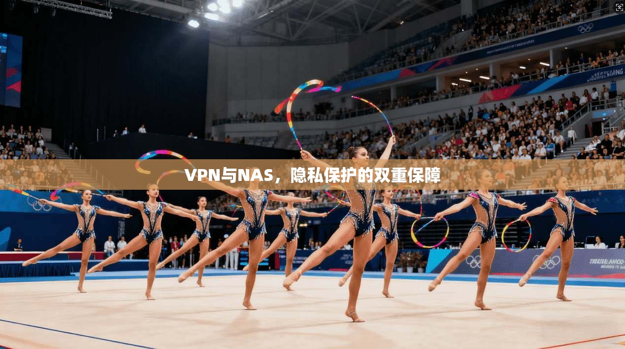 VPN与NAS，隐私保护的双重保障