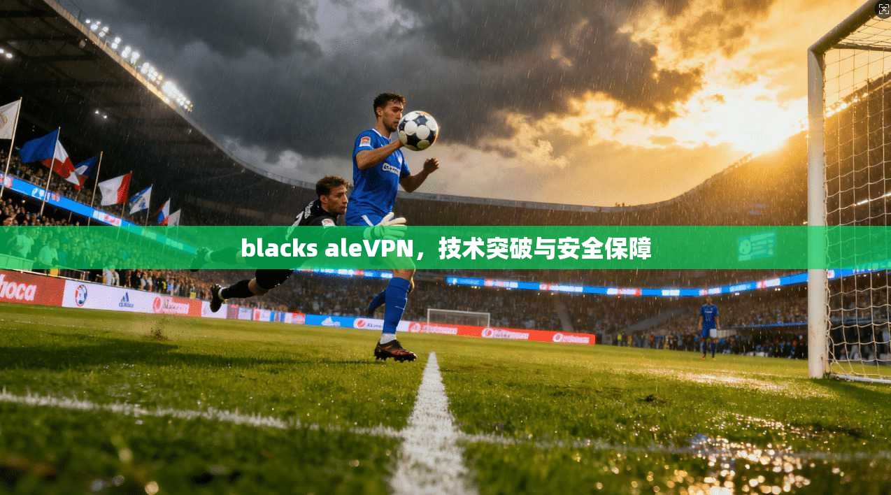 blacks aleVPN，技术突破与安全保障