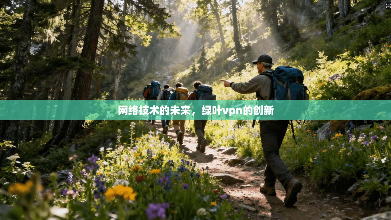 网络技术的未来，绿叶vpn的创新