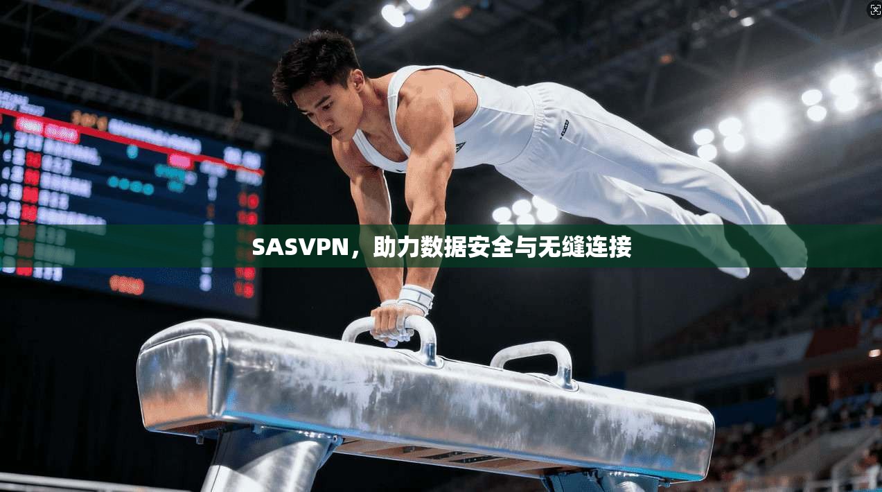 SASVPN，助力数据安全与无缝连接
