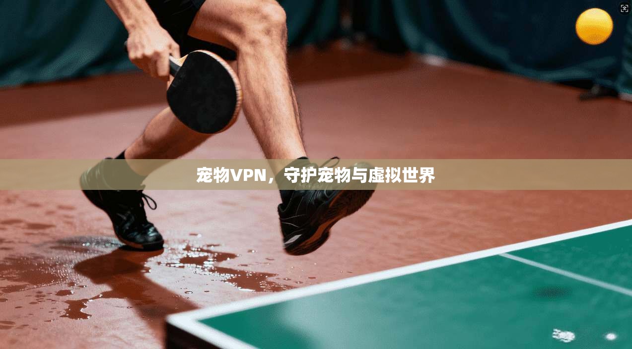 宠物VPN，守护宠物与虚拟世界