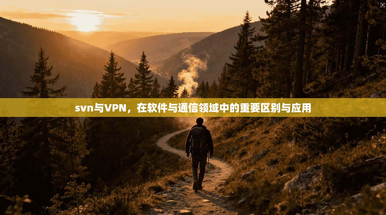 svn与VPN,在软件与通信领域中的重要区别与应用