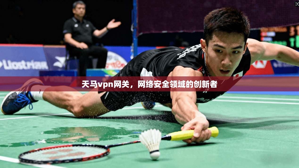 天马vpn网关，网络安全领域的创新者