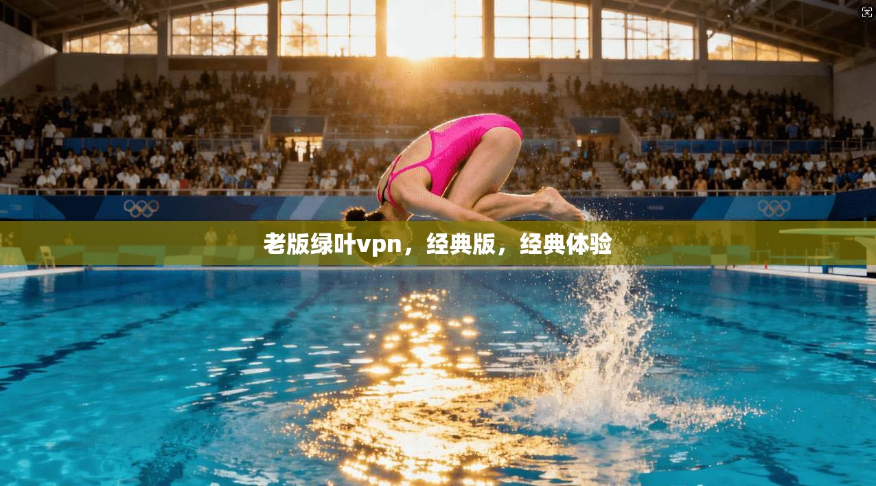 老版绿叶vpn，经典版，经典体验