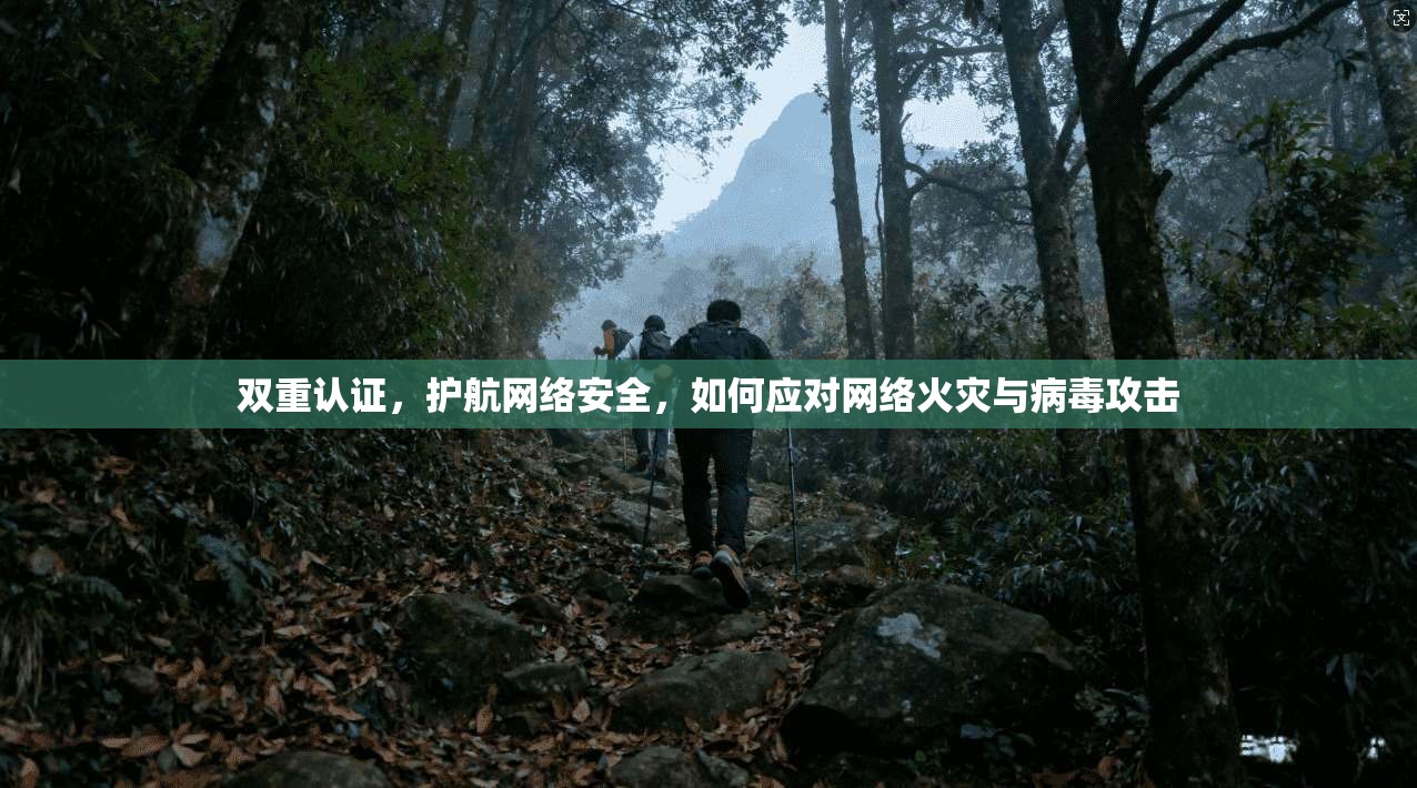 双重认证,护航网络安全,如何应对网络火灾与病毒攻击