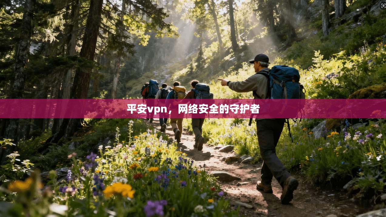 平安vpn，网络安全的守护者