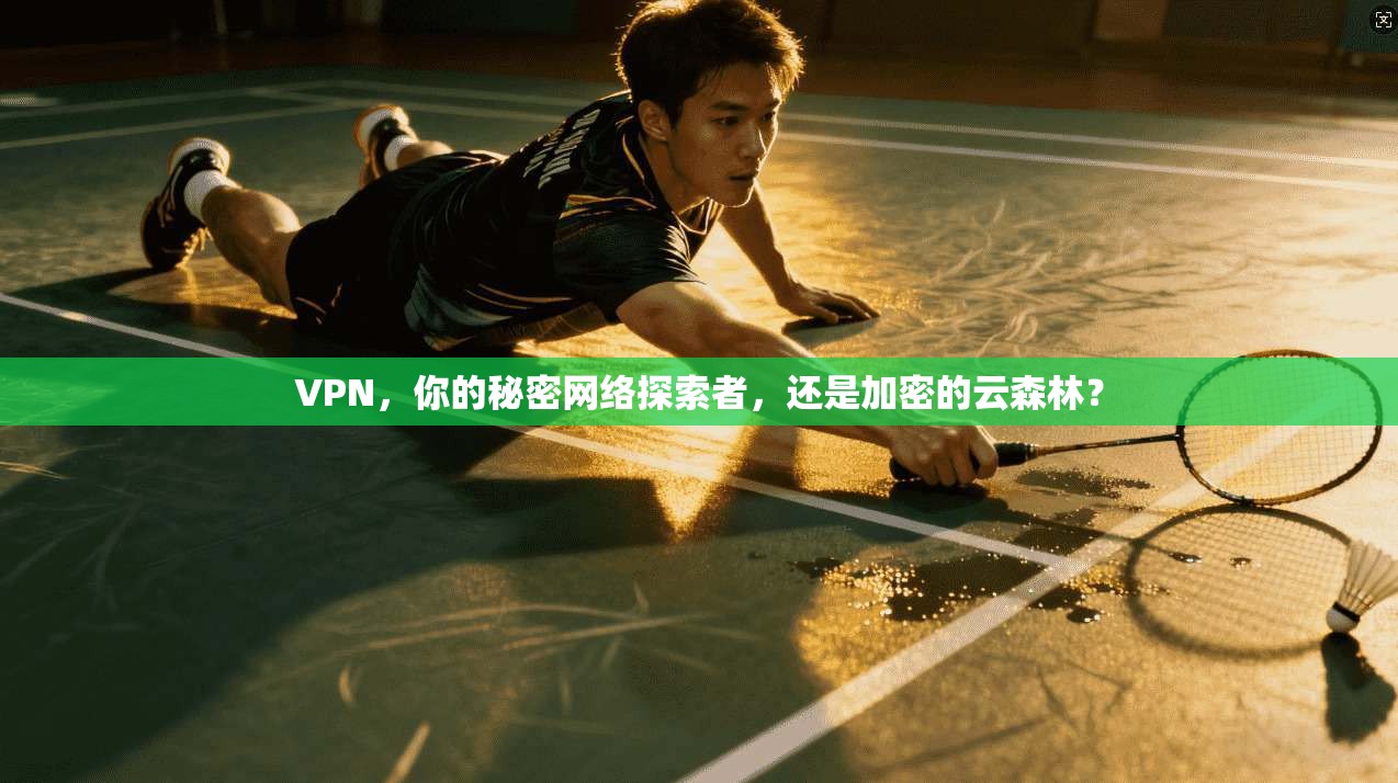 VPN，你的秘密网络探索者，还是加密的云森林？