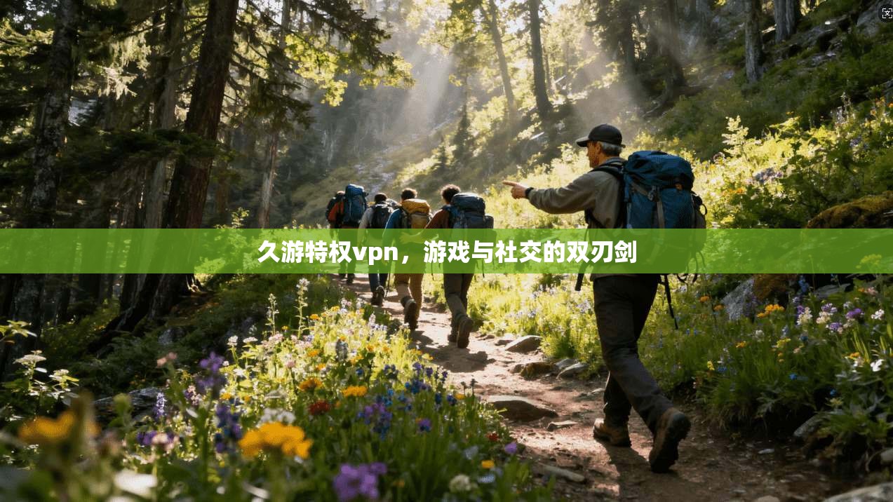 久游特权vpn，游戏与社交的双刃剑