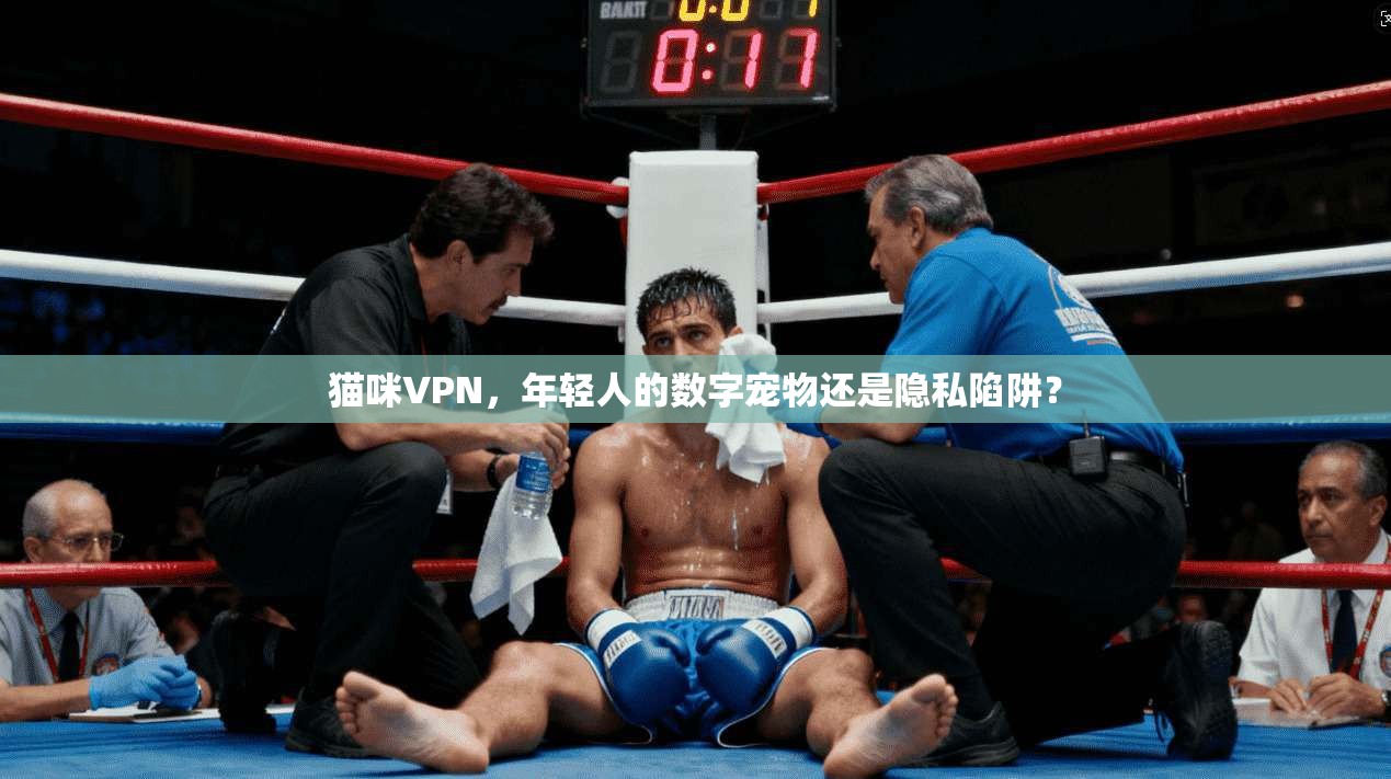 猫咪VPN，年轻人的数字宠物还是隐私陷阱？