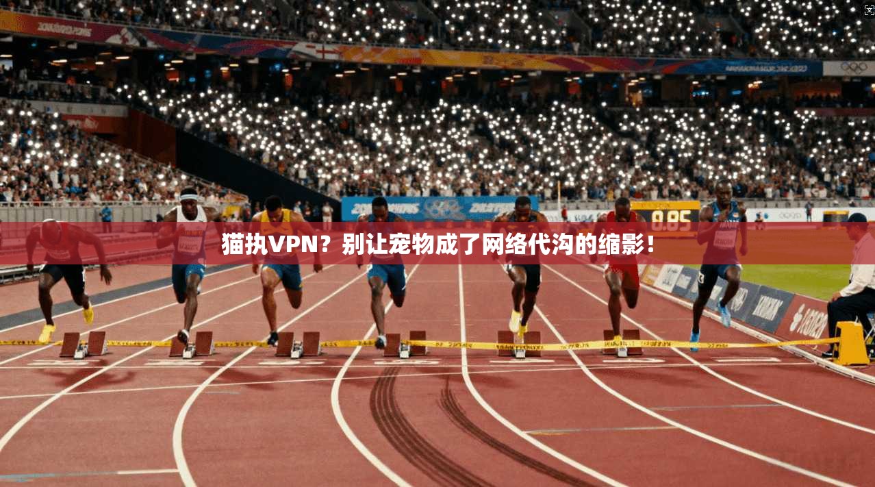 猫执VPN？别让宠物成了网络代沟的缩影！