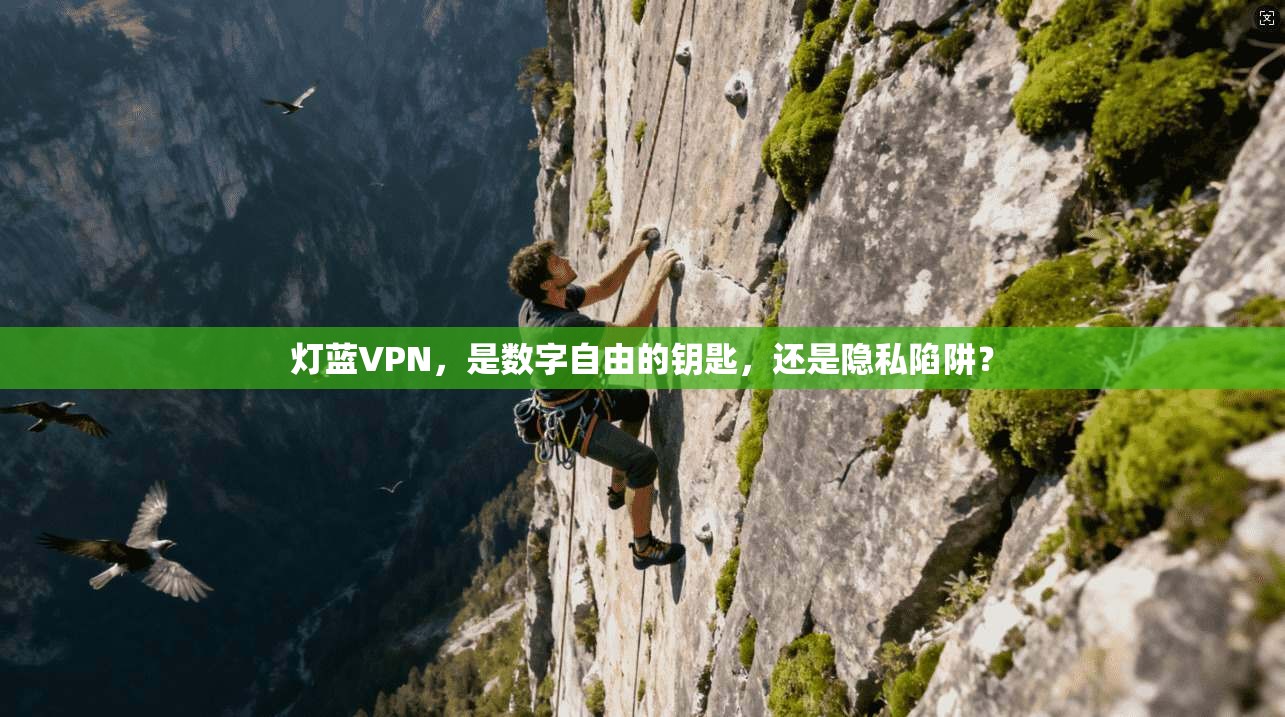 灯蓝VPN，是数字自由的钥匙，还是隐私陷阱？