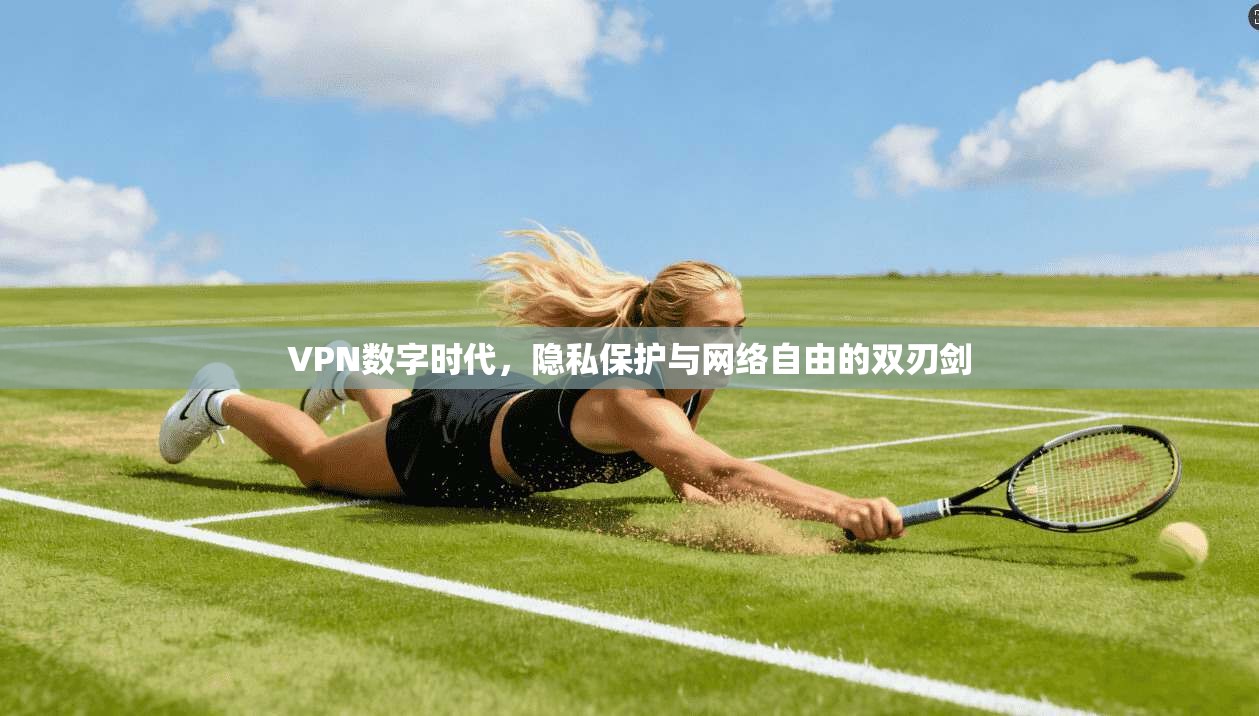 VPN数字时代，隐私保护与网络自由的双刃剑
