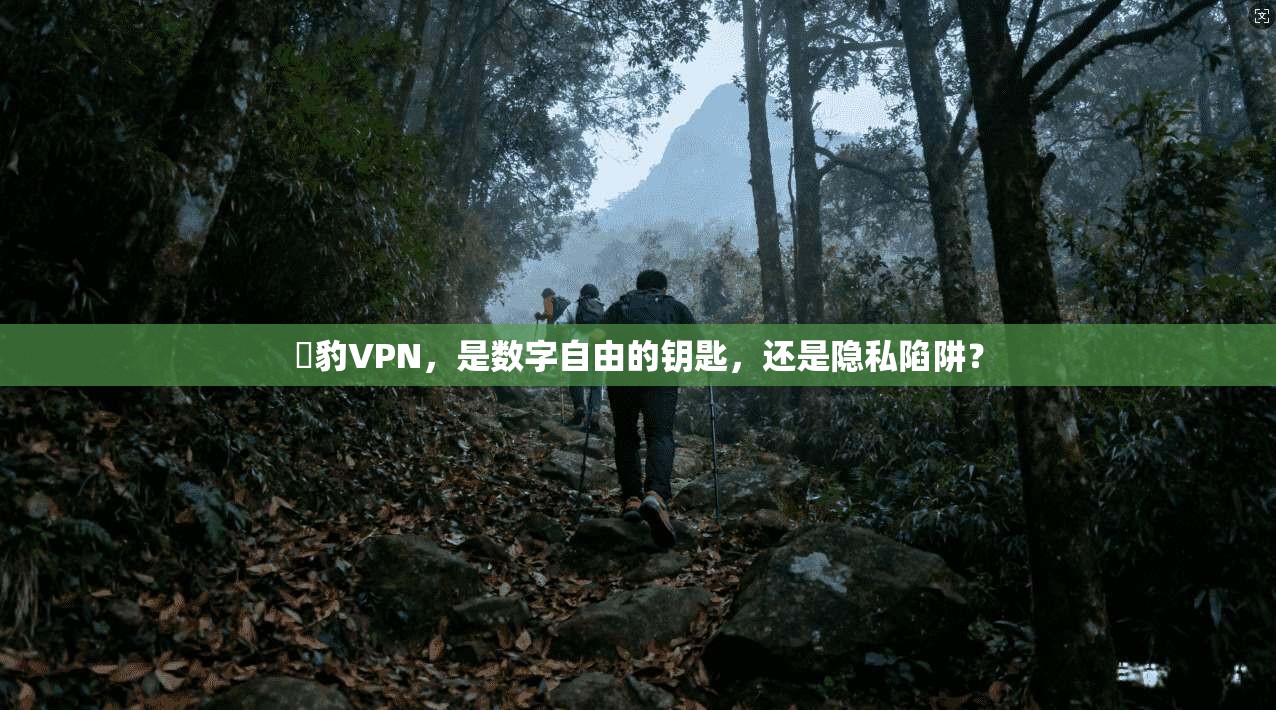 黒豹VPN,是数字自由的钥匙,还是隐私陷阱?