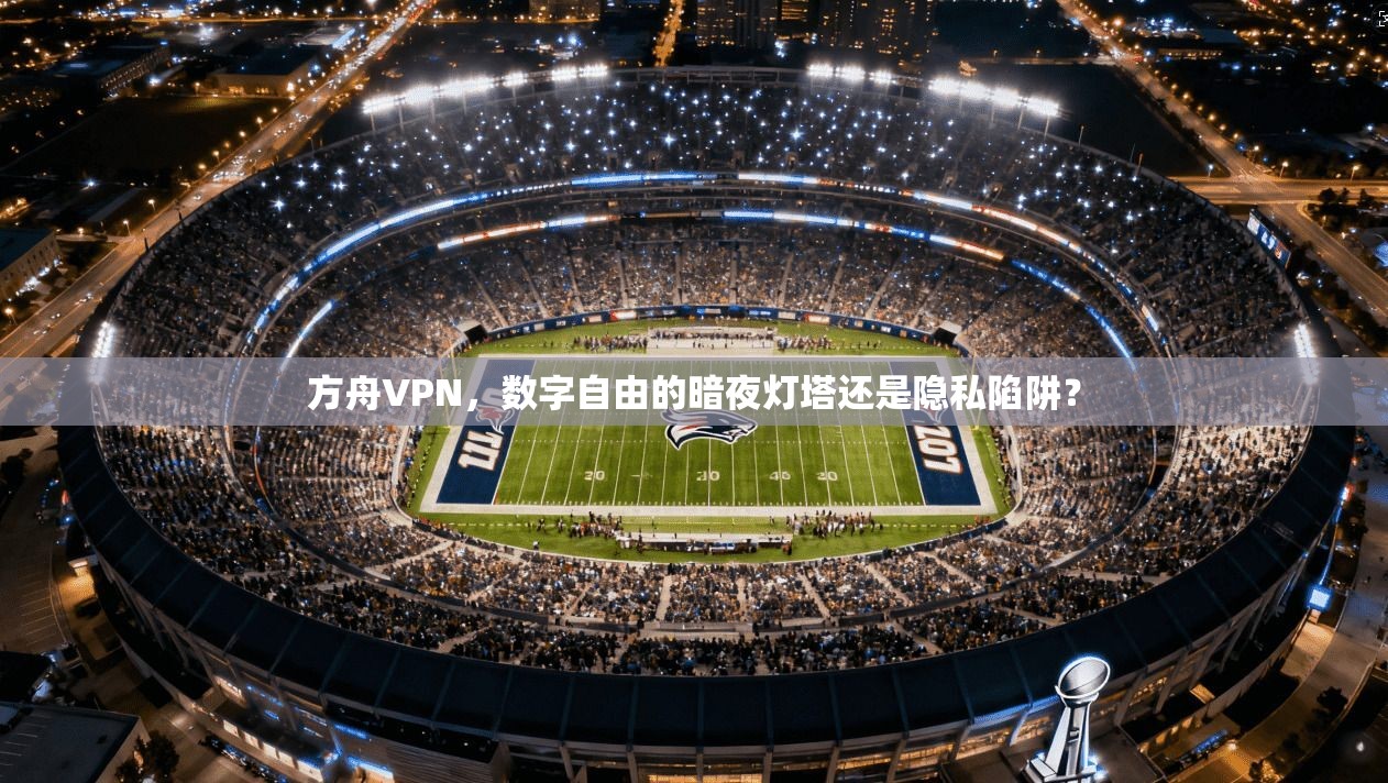 方舟VPN，数字自由的暗夜灯塔还是隐私陷阱？