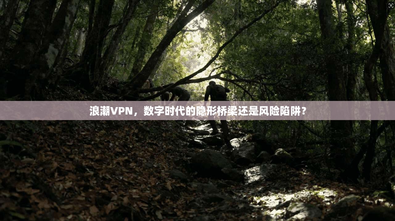 浪潮VPN，数字时代的隐形桥梁还是风险陷阱？
