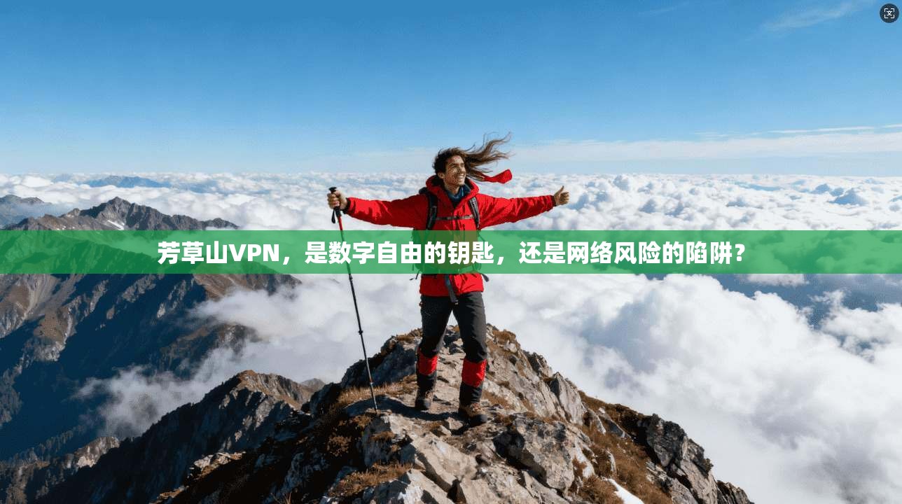 芳草山VPN，是数字自由的钥匙，还是网络风险的陷阱？