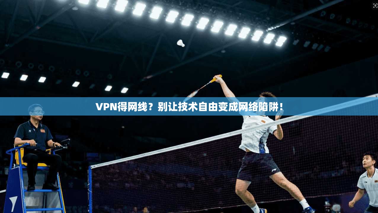 VPN得网线？别让技术自由变成网络陷阱！