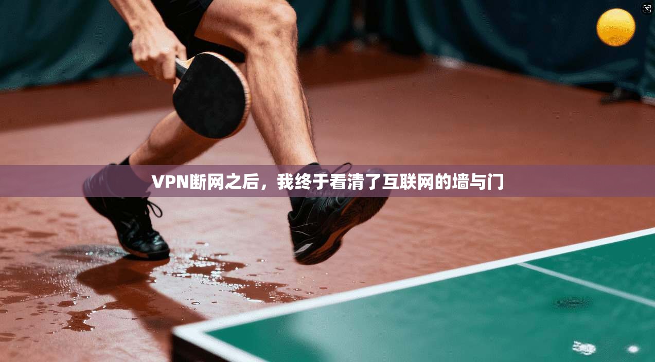 VPN断网之后，我终于看清了互联网的墙与门