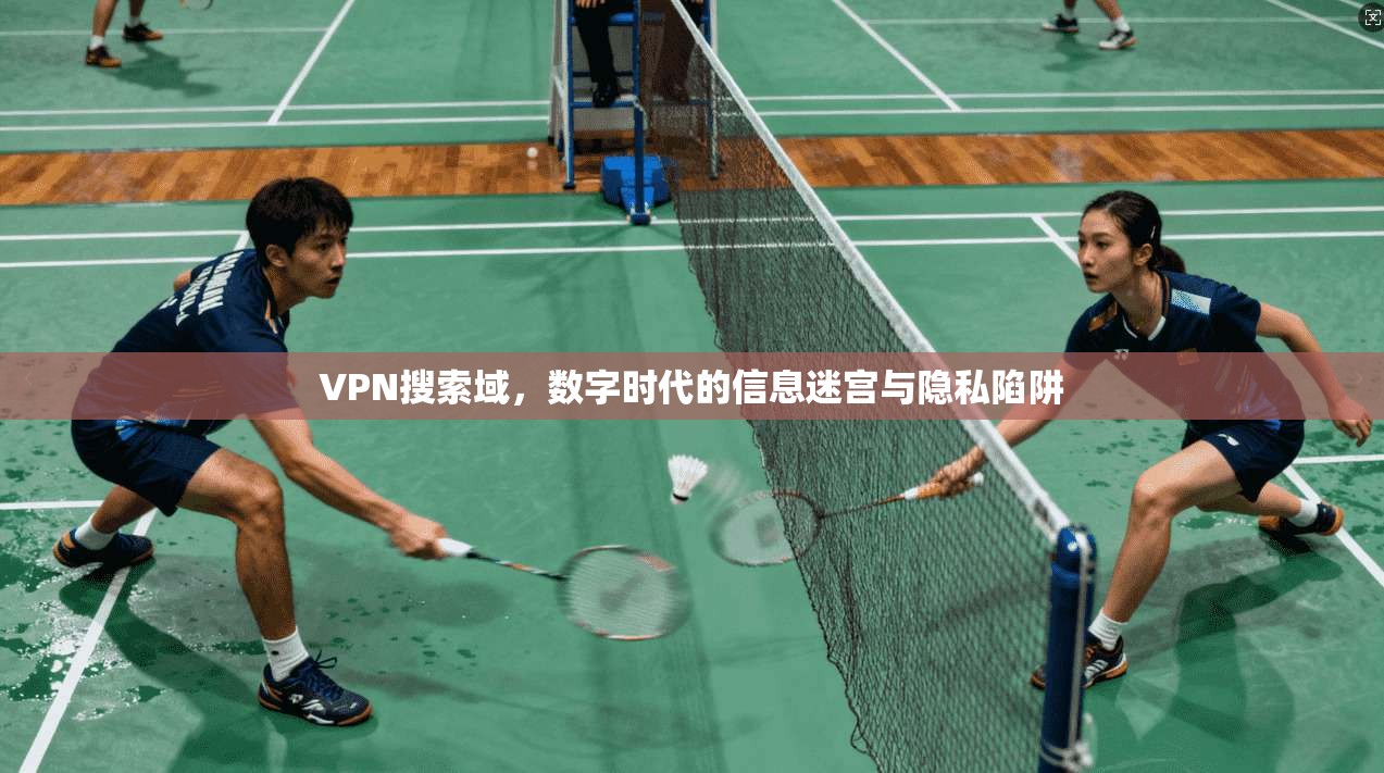 VPN搜索域，数字时代的信息迷宫与隐私陷阱